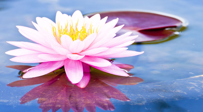 The Glory that is Sanatana Dharma  {Part 1}